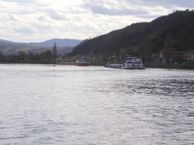 IMGP3604 [800x600].JPG