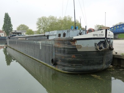 P1020458APALOOSA.jpg (132.98 Kio) Vu 5684 fois P1020458APALOOSA.jpg