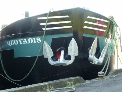 P1040024QUOVADIS.jpg