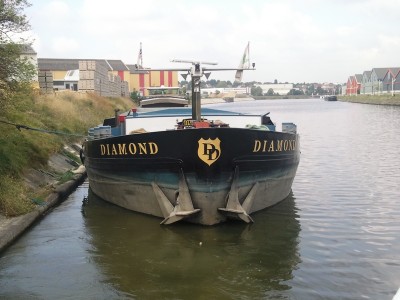 diamont (3) - Copie.jpg
