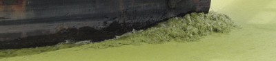 100713 071 - R - 800.jpg