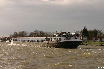 Vegas 13_1.JPG (61.72 Kio) Vu 8353 fois Vegas 13_1.JPG