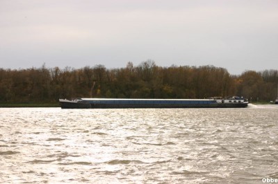 Vegas 17_1.JPG (76.11 Kio) Vu 8347 fois Vegas 17_1.JPG