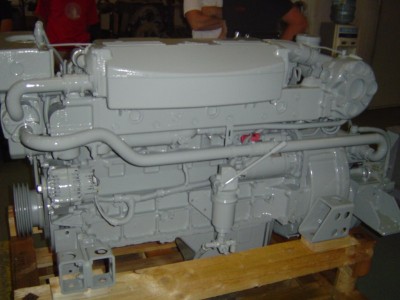 DSC08092 [800x600].jpg