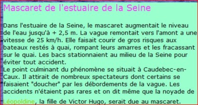 mascaret sur seine [800x600].jpg