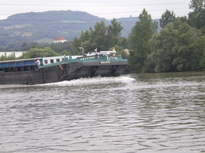 IMGP2778 [800x600].JPG