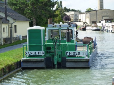 P1060558SANGLIER.jpg