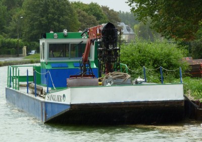 P1060752SANGLIER.jpg