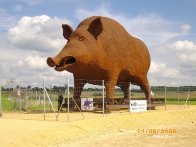 IMGP0092.JPG