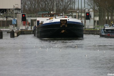 Jaap 03_1.JPG (84.08 Kio) Vu 3180 fois Jaap 03_1.JPG