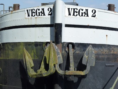 P1020067VEGA2.jpg