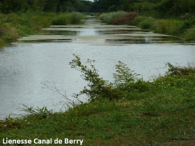 5Lienesse Canal de Berry2.JPG