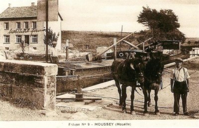 09E___Ecluse_N_9___Moussey__Moselle___Large_t.800.jpg