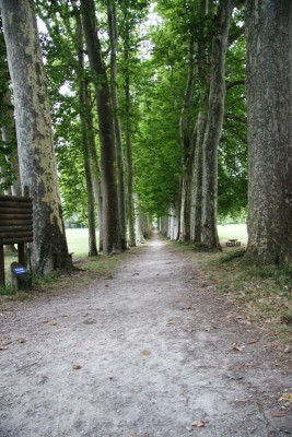 035.JPG (382.95 Kio) Vu 1960 fois 035.JPG