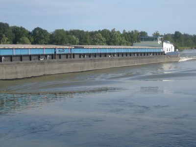 Calypso 2.jpg
