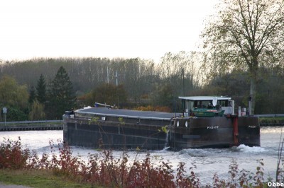 N.D. Perroy 11_1.JPG