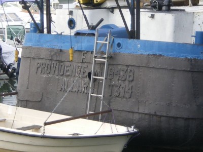 IMGP3084 [800x600].JPG