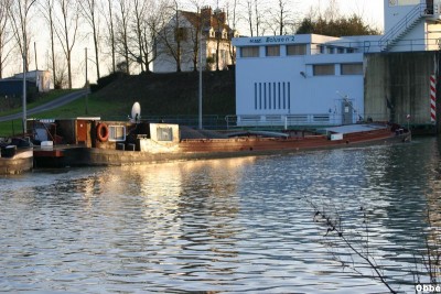 Galata Eglantine 12_1.JPG (121.8 Kio) Vu 2231 fois Galata Eglantine 12_1.JPG