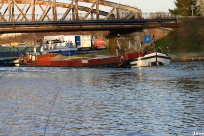 Galata Eglantine 04_1.JPG (124.83 Kio) Vu 2231 fois Galata Eglantine 04_1.JPG