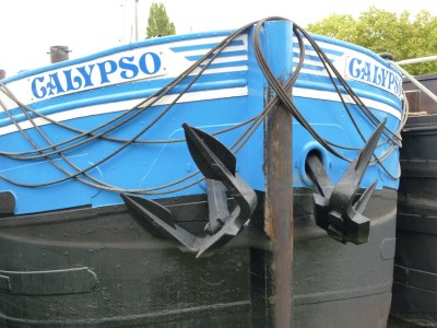 P1080420CALYPSO.jpg