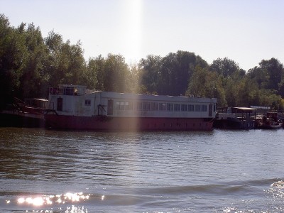 003.JPG