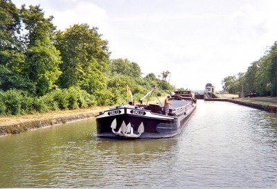 DALU    2000.jpg