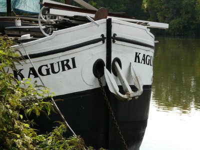 kaguri-av.JPG