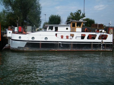 DSCF8814 [].JPG