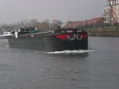 CIMG6486.JPG