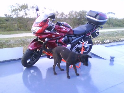 2 (Copier).jpg (109.05 Kio) Vu 2981 fois 2 (Copier).jpg