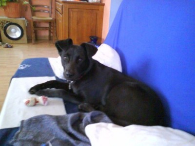 Dana (Copier).JPG (72.28 Kio) Vu 2981 fois Dana (Copier).JPG