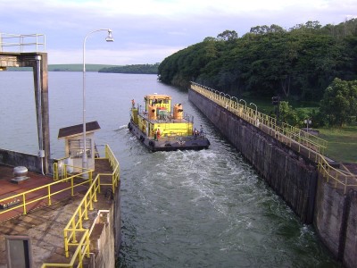 pousseur bresilien.jpg (223.47 Kio) Vu 1476 fois pousseur bresilien.jpg