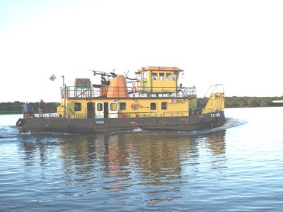 pousseur bresilien2.jpg (100.7 Kio) Vu 1476 fois pousseur bresilien2.jpg