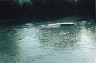 nini_0011.jpg (160.65 Kio) Vu 10767 fois nini_0011.jpg