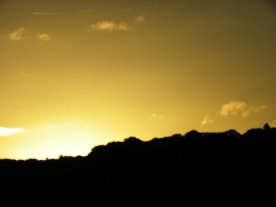 DSCN2078.JPG (161.67 Kio) Vu 3279 fois DSCN2078.JPG