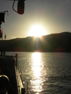 DSCN2083.JPG (200.76 Kio) Vu 3279 fois DSCN2083.JPG