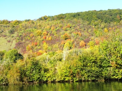 Copie de DSCN2128.JPG (300.73 Kio) Vu 3279 fois Copie de DSCN2128.JPG