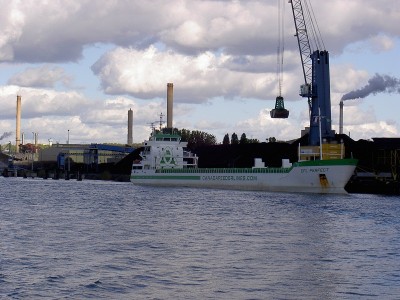 domino 006.JPG