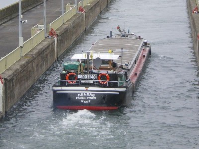 IMGP3340 [800x600].JPG