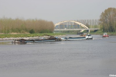 Arizona GilBea 23_1.JPG (57.69 Kio) Vu 3038 fois Arizona GilBea 23_1.JPG