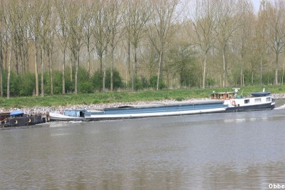 Arizona GilBea 26_1.JPG (107.04 Kio) Vu 3038 fois Arizona GilBea 26_1.JPG