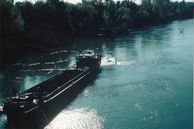 nono_0015.jpg (184.53 Kio) Vu 10709 fois nono_0015.jpg