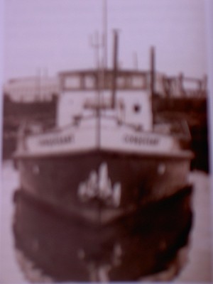 003.JPG (65.63 Kio) Vu 5645 fois 003.JPG