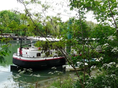 azriel-ar.JPG