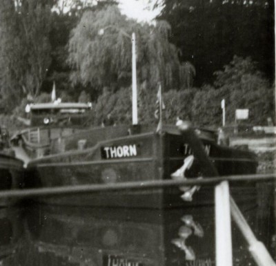 THORN  1965 cave  mai.jpg