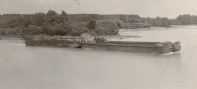 bichin.jpg (311.02 Kio) Vu 8861 fois bichin.jpg