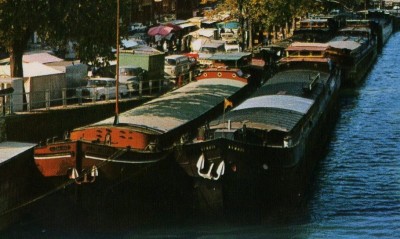 thuin-alena max+x-extCP-mario-5089.jpg (112.71 Kio) Vu 3646 fois thuin-alena max+x-extCP-mario-5089.jpg