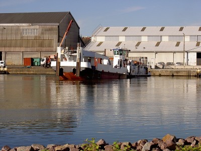 divers 019.JPG