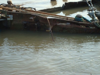 DSC02387.JPG (134.23 Kio) Vu 1353 fois DSC02387.JPG