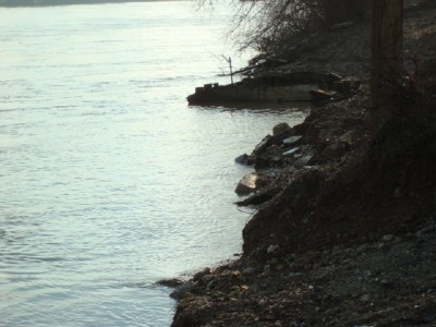 DSC02388.JPG (151.07 Kio) Vu 1353 fois DSC02388.JPG